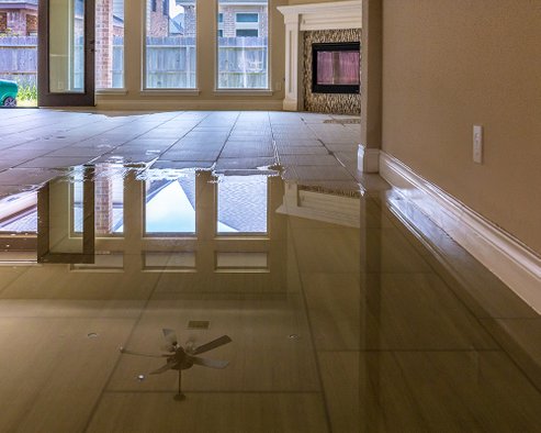 Puddle of Flood Water on House Floor